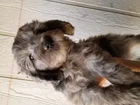 processed/195df796-e25f-4b7f-8d85-5c289b48c955/listing/9455a233-fb8d-4cdd-b826-96ff912455c6/0bc555ac-f6a8-4146-993b-843f66fd8ccc