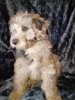 processed/195df796-e25f-4b7f-8d85-5c289b48c955/listing/9455a233-fb8d-4cdd-b826-96ff912455c6/2bd944b7-810e-487b-8976-56509f130fd0