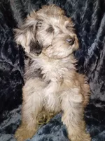 processed/195df796-e25f-4b7f-8d85-5c289b48c955/listing/9455a233-fb8d-4cdd-b826-96ff912455c6/b21493b7-70a4-4026-9989-4251de3a400d