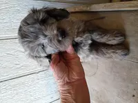 processed/195df796-e25f-4b7f-8d85-5c289b48c955/listing/9455a233-fb8d-4cdd-b826-96ff912455c6/bb005b9f-0bd3-4a45-8c77-9e2977008128