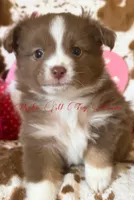 processed/195f8f3c-6db6-4eb2-b6c5-520e92ee3c6f/listing/0dd3281c-a9b1-444c-9e0f-bbb12ca6cfc8/c79953c3-ef81-4d34-a1f8-688a78a0daf7