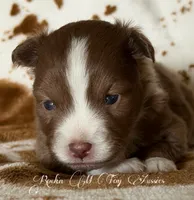 processed/195f8f3c-6db6-4eb2-b6c5-520e92ee3c6f/listing/0dd3281c-a9b1-444c-9e0f-bbb12ca6cfc8/dd719171-fb12-47bb-b0bb-3cf1083fa146