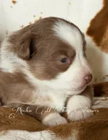 processed/195f8f3c-6db6-4eb2-b6c5-520e92ee3c6f/listing/189c5a55-aa49-4898-afab-ec6c0ab0e6f4/52f907d7-3e4c-4bbb-9ba0-819eec3a4c51