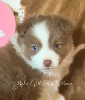 processed/195f8f3c-6db6-4eb2-b6c5-520e92ee3c6f/listing/189c5a55-aa49-4898-afab-ec6c0ab0e6f4/56d754c0-003b-4102-a36e-88f3040625c0