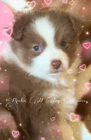 processed/195f8f3c-6db6-4eb2-b6c5-520e92ee3c6f/listing/189c5a55-aa49-4898-afab-ec6c0ab0e6f4/dd4b38b6-8049-467f-86cb-d65da2181d1e