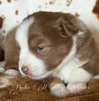 processed/195f8f3c-6db6-4eb2-b6c5-520e92ee3c6f/listing/189c5a55-aa49-4898-afab-ec6c0ab0e6f4/fcfb4737-863a-43f0-bb98-0adc2d2a76ac