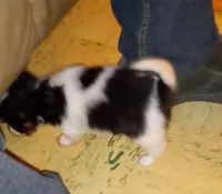 processed/1963ede4-fe68-4619-a54a-a077467d292b/listing/27442aee-86c1-4f44-a77d-9f29f2f10b26/7b037a40-a567-4e06-880a-e5300ba0343a