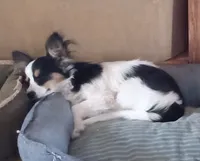 processed/1963ede4-fe68-4619-a54a-a077467d292b/listing/27442aee-86c1-4f44-a77d-9f29f2f10b26/a17cd881-9f01-48c0-8102-0962e173bc98