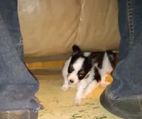 processed/1963ede4-fe68-4619-a54a-a077467d292b/listing/27442aee-86c1-4f44-a77d-9f29f2f10b26/bae71d07-0a46-4bea-b2f4-b373e9e727b6