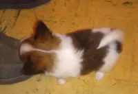 processed/1963ede4-fe68-4619-a54a-a077467d292b/listing/2c800bd9-a8aa-4448-bac1-d13e6ca8c3cf/89e20b2e-8f42-49dc-a5fa-35ee2f3686c5