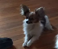 processed/1963ede4-fe68-4619-a54a-a077467d292b/listing/2c800bd9-a8aa-4448-bac1-d13e6ca8c3cf/e555761c-3f42-4250-926b-7608f2622974