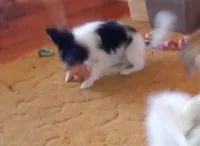 processed/1963ede4-fe68-4619-a54a-a077467d292b/listing/422ff738-3a28-466c-b76a-96a6f8819796/0dfd3b18-25a5-4313-9c4d-b71ca490772a