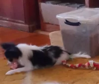 processed/1963ede4-fe68-4619-a54a-a077467d292b/listing/422ff738-3a28-466c-b76a-96a6f8819796/21c97a60-783e-4c85-9e0b-3cc89e1ba993