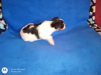 processed/1963ede4-fe68-4619-a54a-a077467d292b/listing/422ff738-3a28-466c-b76a-96a6f8819796/32121d9c-b5e7-4593-96fe-140e24d6cdb5