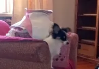 processed/1963ede4-fe68-4619-a54a-a077467d292b/listing/422ff738-3a28-466c-b76a-96a6f8819796/34ff349e-7e68-4619-9945-7e98217c2bdb