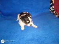 processed/1963ede4-fe68-4619-a54a-a077467d292b/listing/422ff738-3a28-466c-b76a-96a6f8819796/c6b0ec10-78e7-4a44-9842-fb6cf41c38d3