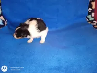 processed/1963ede4-fe68-4619-a54a-a077467d292b/listing/422ff738-3a28-466c-b76a-96a6f8819796/cabd6560-5935-4b85-b373-6a6ece115ac0