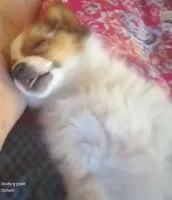 processed/1963ede4-fe68-4619-a54a-a077467d292b/listing/60af3310-384e-49d3-a74b-fd17fd22b94f/07ca5228-b4ad-4e48-b88b-9ca3c7ff995a