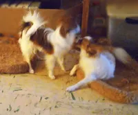 processed/1963ede4-fe68-4619-a54a-a077467d292b/listing/60af3310-384e-49d3-a74b-fd17fd22b94f/9997041d-934c-4501-9b13-251a421a906b