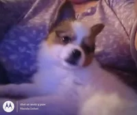 processed/1963ede4-fe68-4619-a54a-a077467d292b/listing/60af3310-384e-49d3-a74b-fd17fd22b94f/a27a2241-4bea-4c70-8e65-11a8bc29e3d2