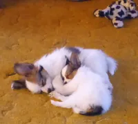 processed/1963ede4-fe68-4619-a54a-a077467d292b/listing/60af3310-384e-49d3-a74b-fd17fd22b94f/bee27793-f669-4590-980f-4d183af5c2dd