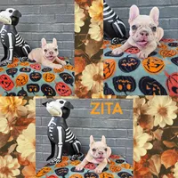 Zita, a female French Bulldog for sale in Foley, AL – 5 of 10