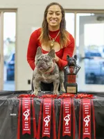 Gaz, a female French Bulldog for sale in Foley, AL – 10 of 10