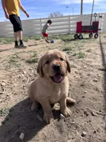 processed/196b98b2-feac-4c14-b599-05717e3da07b/facility/11579f59-1d34-46f8-80af-3bce8fb43a36