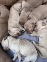 processed/196b98b2-feac-4c14-b599-05717e3da07b/facility/4c62c742-c0ff-4db3-bef4-47aa076b2b40