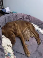 processed/196b98b2-feac-4c14-b599-05717e3da07b/facility/5edfb7ed-6779-4b48-b486-4e18c6ef814d