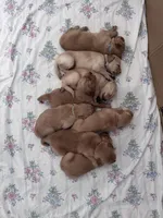 processed/196b98b2-feac-4c14-b599-05717e3da07b/facility/737842f4-12eb-48c4-81a2-677353f6c56e