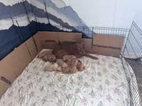 processed/196b98b2-feac-4c14-b599-05717e3da07b/facility/85455cff-9085-4b16-82b5-097b201e92e7