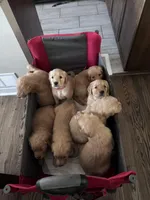 processed/196b98b2-feac-4c14-b599-05717e3da07b/facility/b2506c95-77dc-4e21-bb44-5dafb0b46a5b