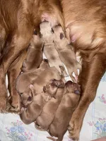 processed/196b98b2-feac-4c14-b599-05717e3da07b/facility/be3fb67a-ccfa-4657-a30f-656b5164fe69