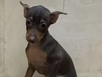 processed/1973e368-3889-43ca-b96f-7cc62d60aea8/listing/458ac29d-96cb-4e14-b64f-454558915aa6/957d9d78-7062-4db2-95a2-1a60182f56a2