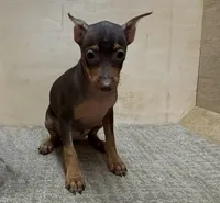 processed/1973e368-3889-43ca-b96f-7cc62d60aea8/listing/458ac29d-96cb-4e14-b64f-454558915aa6/ae446198-61ed-412c-bd00-b89c71e42c43