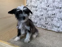 processed/1973e368-3889-43ca-b96f-7cc62d60aea8/listing/683ca968-a30c-464e-b95a-8aba56e960af/028e6538-91c4-4294-8f3a-0384ef185957