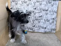 processed/1973e368-3889-43ca-b96f-7cc62d60aea8/listing/683ca968-a30c-464e-b95a-8aba56e960af/2196a473-4cda-4771-984d-c4ceebde76c0