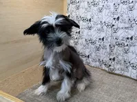 processed/1973e368-3889-43ca-b96f-7cc62d60aea8/listing/683ca968-a30c-464e-b95a-8aba56e960af/9d39bde5-c32f-462c-8b8e-452c2f5b9c62