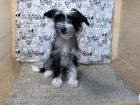 processed/1973e368-3889-43ca-b96f-7cc62d60aea8/listing/683ca968-a30c-464e-b95a-8aba56e960af/bce2d5f9-2358-4160-8d45-c26936a4e8d6