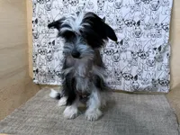 processed/1973e368-3889-43ca-b96f-7cc62d60aea8/listing/683ca968-a30c-464e-b95a-8aba56e960af/be08d5d8-b926-4e31-b1a4-7ffed2ca201f