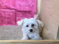 processed/1973e368-3889-43ca-b96f-7cc62d60aea8/listing/78df7c84-c5c9-4eaf-9e0b-ce585bcb4fa9/3a38c20d-cca2-4065-93fa-58dcc72c4213