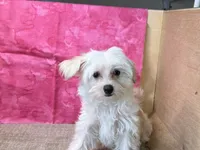 processed/1973e368-3889-43ca-b96f-7cc62d60aea8/listing/78df7c84-c5c9-4eaf-9e0b-ce585bcb4fa9/8bebb4a4-e54b-4c8e-925c-97fcd1ce41e9