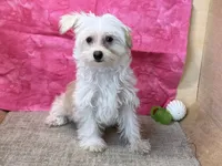 processed/1973e368-3889-43ca-b96f-7cc62d60aea8/listing/78df7c84-c5c9-4eaf-9e0b-ce585bcb4fa9/90b2d681-fb20-420f-89d5-6ddca72a4983