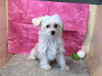 processed/1973e368-3889-43ca-b96f-7cc62d60aea8/listing/78df7c84-c5c9-4eaf-9e0b-ce585bcb4fa9/91d1a52a-f992-4a4e-9365-0db81f590485