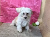 processed/1973e368-3889-43ca-b96f-7cc62d60aea8/listing/78df7c84-c5c9-4eaf-9e0b-ce585bcb4fa9/ad22764c-f59e-45b5-b898-c948100401d8