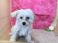 processed/1973e368-3889-43ca-b96f-7cc62d60aea8/listing/78df7c84-c5c9-4eaf-9e0b-ce585bcb4fa9/e487da22-4257-4f98-afde-f05f107f03bd