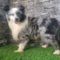 processed/197544e9-152b-4510-a6e4-a67195a374b7/facility/081ba6e7-1747-4867-a903-3fe3d9032d61