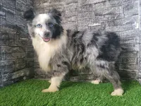 processed/197544e9-152b-4510-a6e4-a67195a374b7/facility/081ba6e7-1747-4867-a903-3fe3d9032d61