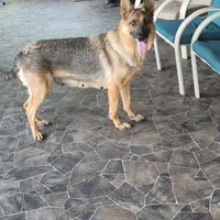 processed/197544e9-152b-4510-a6e4-a67195a374b7/facility/1499f43b-fe89-46ec-b275-8202f583ae1d